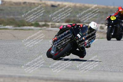 media/Mar-24-2025-2WTD (Mon) [[55b4b08488]]/B Group/220pm (Cotton Corners)/